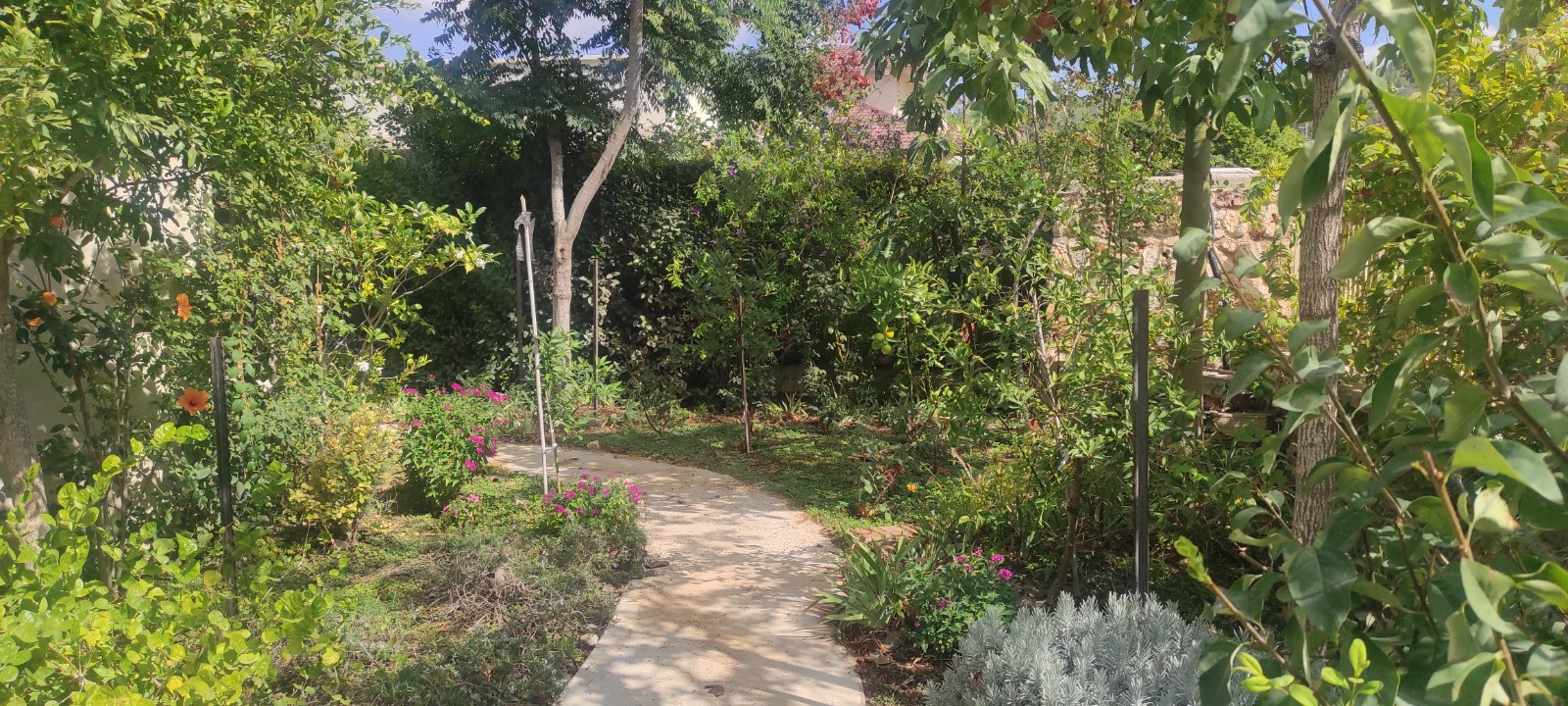 Lush Landscaped Garden